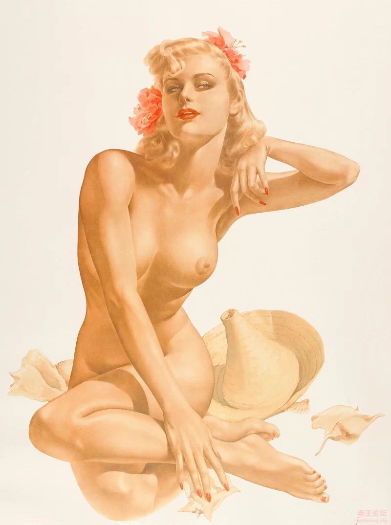 Sea Shells Pin-Up.jpg